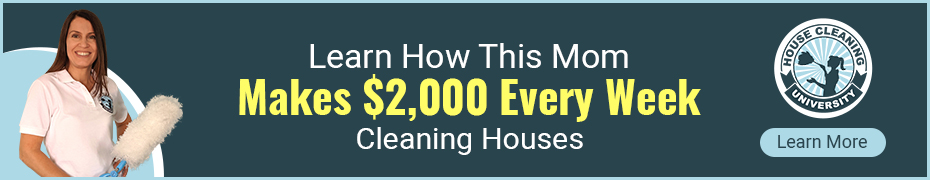 House Cleaning Business Success